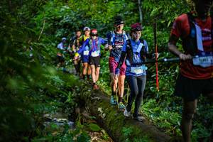 BIB: 
                            <button type="button" onclick="openModal(18922593)" class="btn btn-primary btn-sm float-right btn-popup" data-toggle="modal" data-target=".modal-high-quality">
                        <i class="fas fa-shopping-cart"></i> Add to Cart
                    </button>
                                            <button type="button" onclick="isThisMe(18922593, true)" class="btn btn-success btn-sm float-right btn-popup btn-isme hidden" data-toggle="tooltip" data-placement="bottom" title="นี่คือรูปของคุณใช่ไหม คลิกที่นี่เพื่อเอาเข้าอัลบั้ม">
                        <i class="fas fa-plus"></i> Add to album
                    </button>
                    <button type="button" onclick="isThisMe(18922593, false)" class="btn btn-warning btn-sm float-right btn-popup btn-isnotme hidden">
                        <i class="fas fa-ban"></i> Remove from album
                    </button>